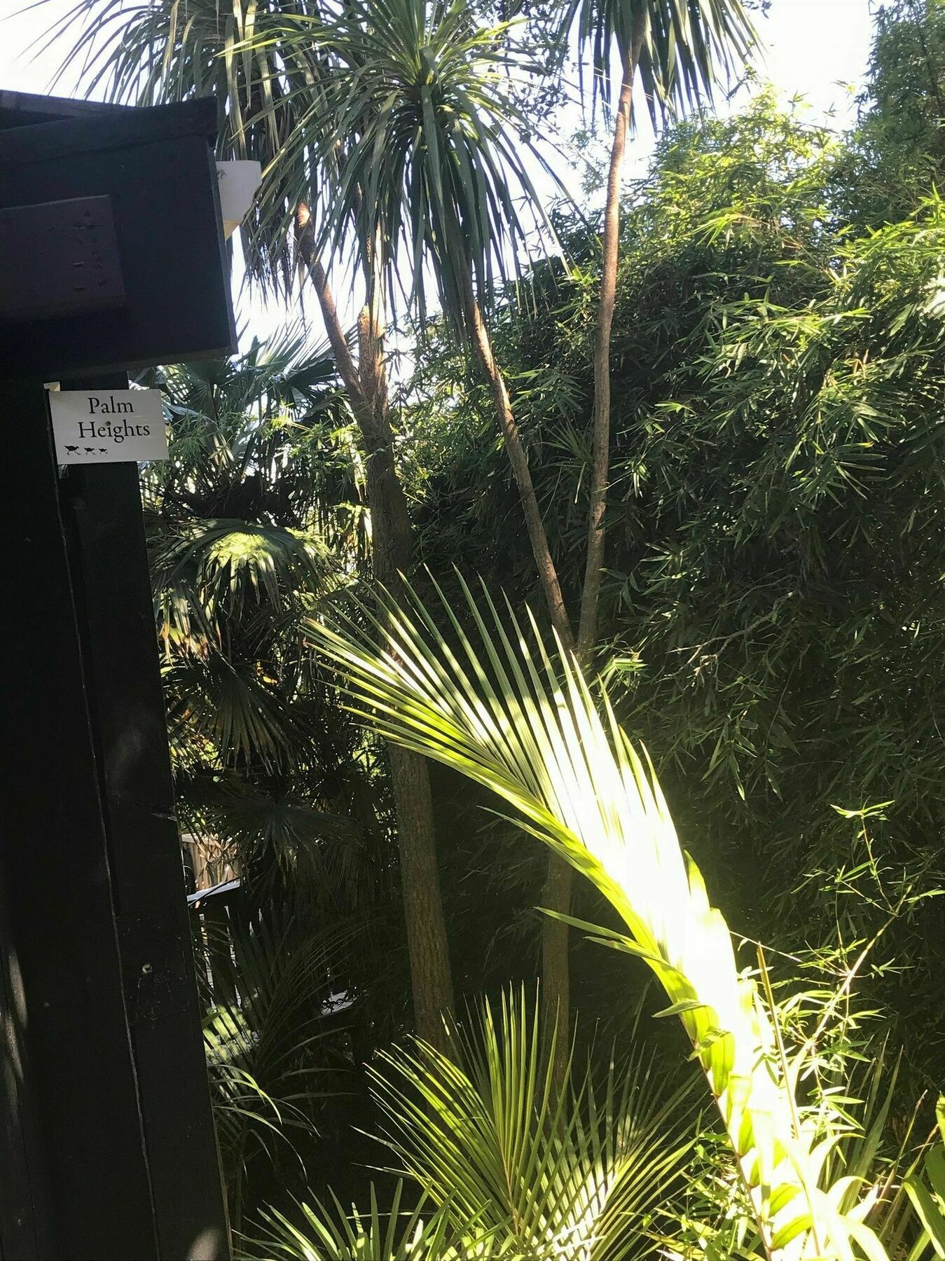 Palm Heights Διαμέρισμα Palm Beach Εξωτερικό φωτογραφία